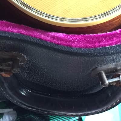 Violet-Lined 1960s Guild/Ess & Ess Guitar Case image 10