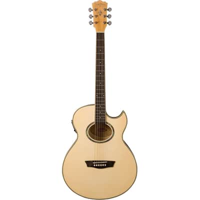 Washburn Festival EA20