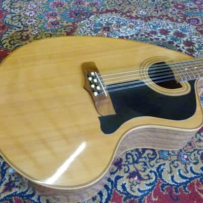 Giannini Craviola 12 String Electro Acoustic Guitar image 4