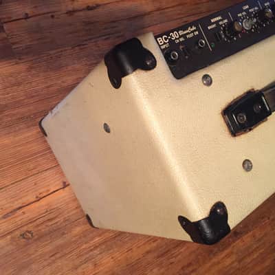 Roland Blues Cube 30 Amp image 5