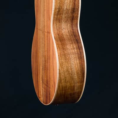 Lowden S-34C Koa and Sitka Spruce with Pickup NEW image 21
