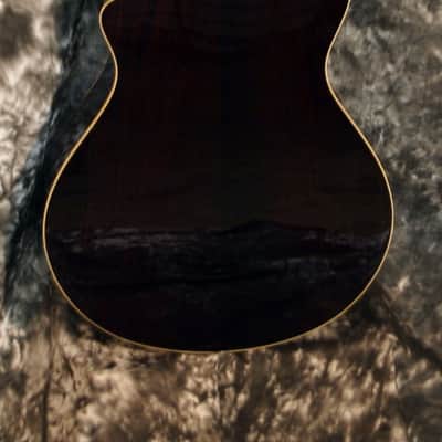 BREEDLOVE PRO SERIES C25/CRH, ACOUSTIC ELECTRIC image 4