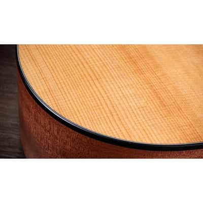 Taylor 150ce Bajo Quinto Layered Sapele 10-String Acoustic-Electric Guitar image 5