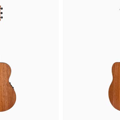Maton EMBW-6 Blackwood Mini image 2