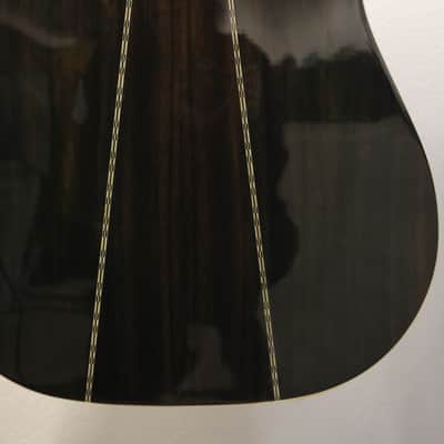 Zager ZAD-80 Acoustic Guitar Signed W/ Case image 11