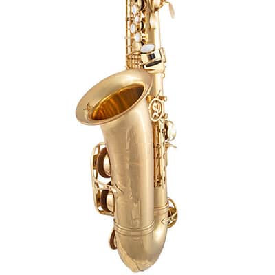 Selmer SAS411 Step-up Alto Saxophone - Lacquered image 3