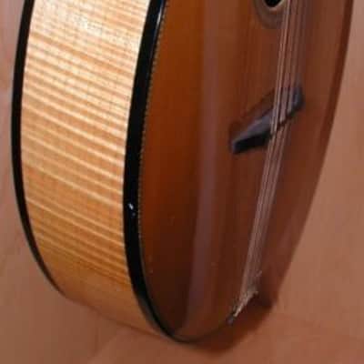 Flatiron 3MW Bouzouki, 1984, Natural image 4