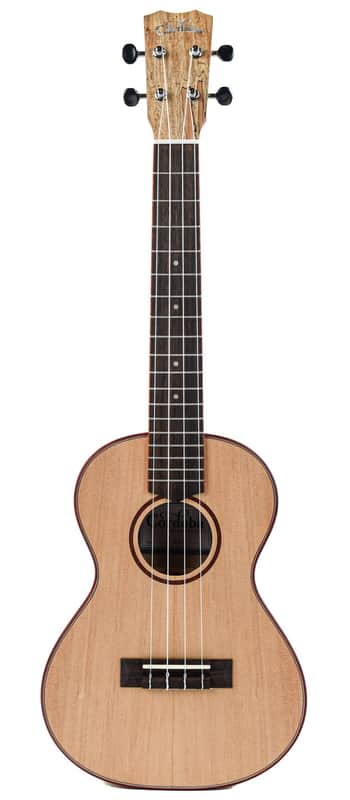 Cordoba 24T Tenor Spruce Ukuele image 1