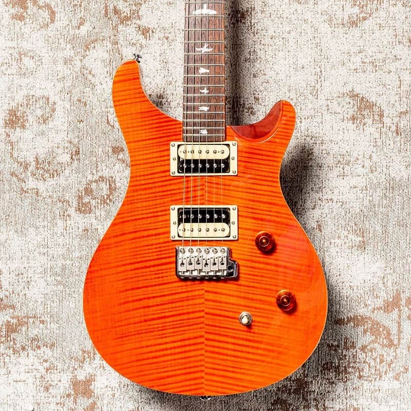 PRS SE Custom 24 2009 - 2011 image 3