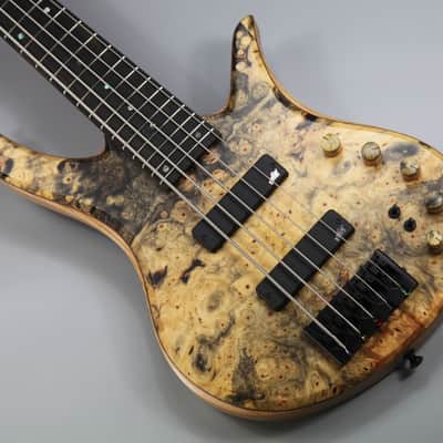BQW Tavern series 5 string Bass image 9