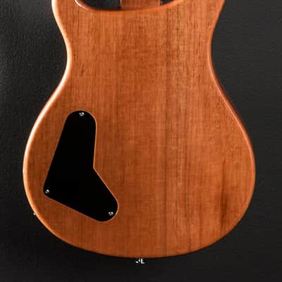 Paul Reed Smith SE Custom Semi-Hollow 2007 Natural image 4