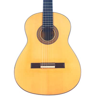 Jose Salinas 2019 "Negra" Flamenco Guitar - Exceptionally good sounding Guitar – Powerful & Expressive - Check Video! image 1