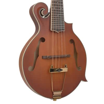 Gold Tone F-10 10-String F-Style Mandolin w/ Pickup & Case — Vintage Sunburst image 2