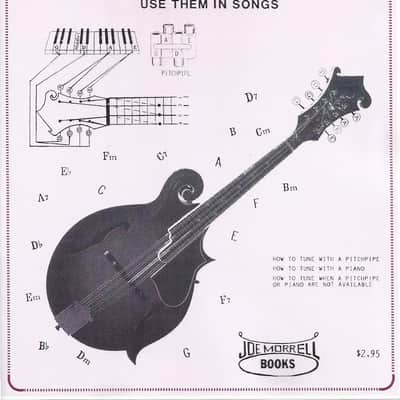 Easy Beginner Mandolin Chords: Teach Yourself Chords and How to Use Them in Songs image 1