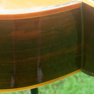 1976 Takamine Elite TW100 Jacaranda Body Natural+Vintage Hard Case image 16