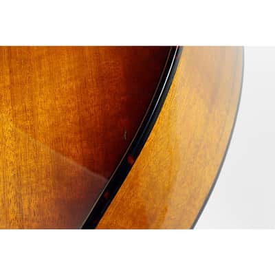 Breedlove Pursuit Exotic S CE Myrtlewood Concert Acoustic-Electric Guitar Regular Tiger Eye image 5