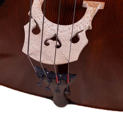 Goffriller Cello 4/4 from One Piece Back - Hand-Made in Romania 2025 #78 image 9