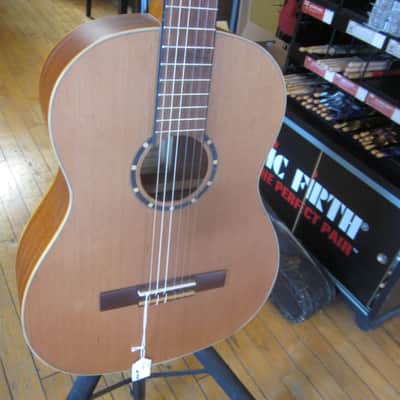 Ortega Family Series Solid Cedar Top Acoustic Classical Guitar R131SN image 7