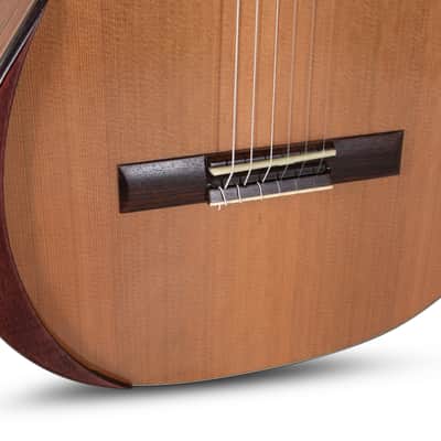 Manuel Rodriguez Superior A-C, Cedar/Bubinga 4/4, Gloss Acoustic Classical Guitar w/Armrest .501.300 image 5