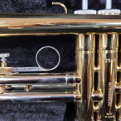 Antigua Trumpet - Gold Lacquer image 7