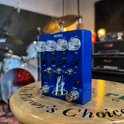 AC Noises Ricorda 2024 - Present - Blue image 2
