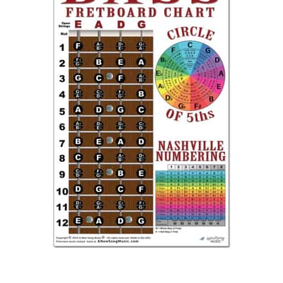 Laminated 4 String Bass Fretboard Chart Poster Nashville Numbering Theory 11x17 Beginner Easy image 6
