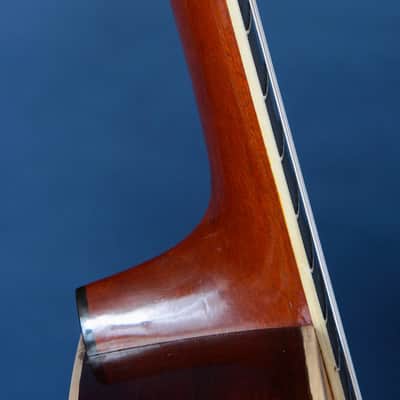 Washburn Model 330 1905-1917 / Grand Concert Size / Breathtaking! / July Special!!! image 12