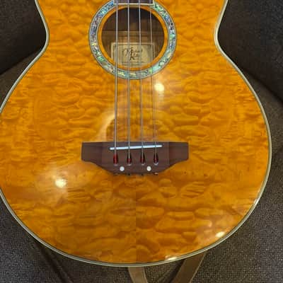 Michael Kelly Dragonfly Fretless Acoustic Bass 4 String with Fishman Electronics Blond Quilted image 4