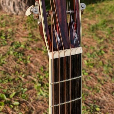 Santa Cruz OO Erik SKYE 2019 - Cocobolo image 6