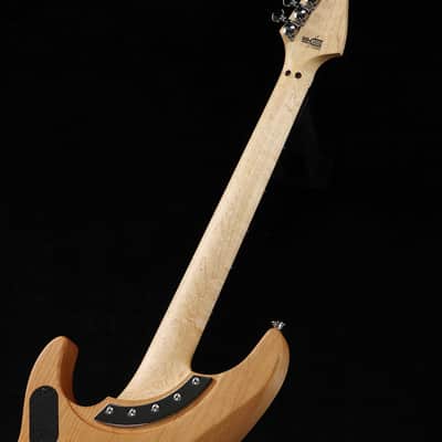 Washburn N4 BirbWire image 6