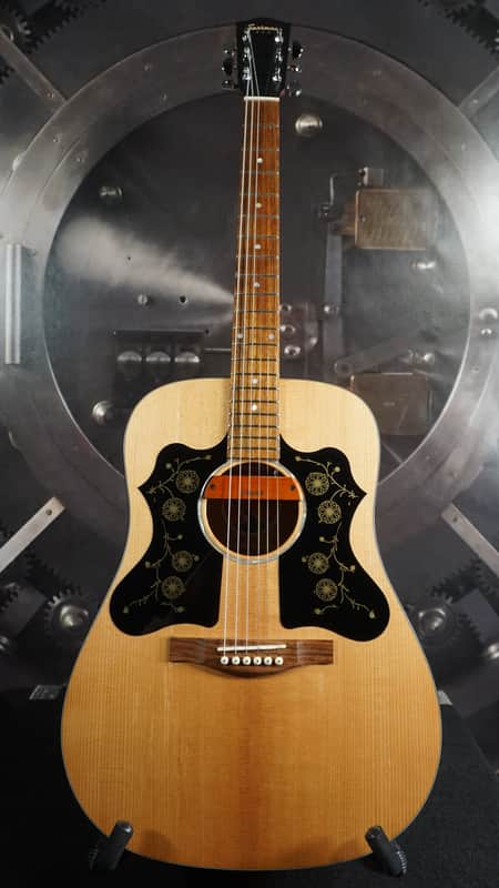 Eastman PCH1-D Dreadnought Acoustic Guitar w/ Eastman Gig Bag & Pickup – Players Grade image 1