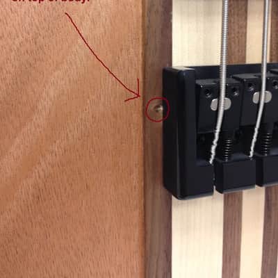 Epiphone Thunderbird Pro-IV Electric Bass Guitar - Natural Oil Satin image 9