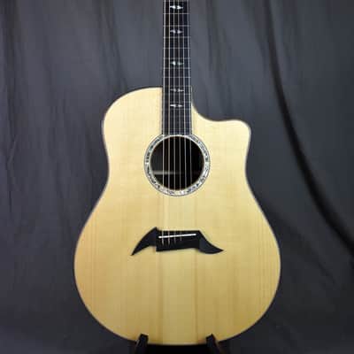 2010 Breedlove Special Edition Focus D image 22