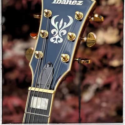 Ibanez AG95MG-DA Dark Amber image 3