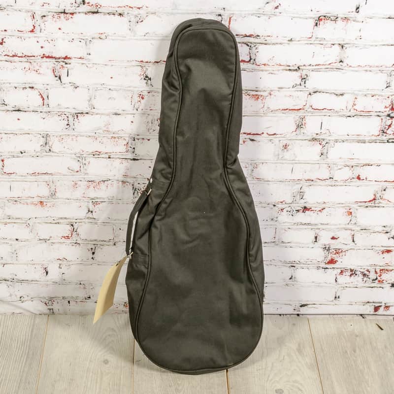 Unbranded - 3/4 Acoustic Guitar Bag - USED image 1