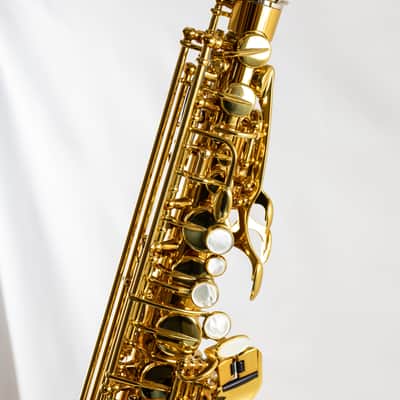 Demo Selmer Paris Supreme Professional Alto Saxophone - Gold Lacquer image 3
