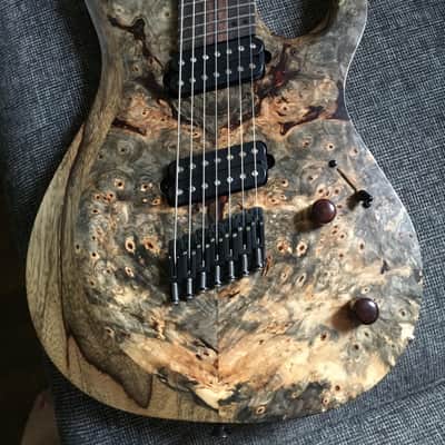 Kiesel Carvin Aries AM7 Multiscale New! 2016 Buckeye Burl image 17