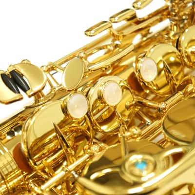 【Special price】 Yanagisawa A-WO1 [AW01] Professional Alto Saxophone image 7