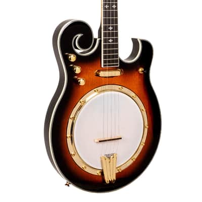 Gold Tone EBM-5 Solid Body Maple Top & Neck F-Style 5-String Electric Banjo image 1