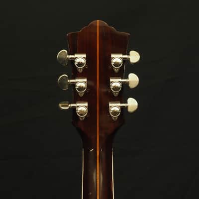 Guild D-55 TV Model 1971 image 7
