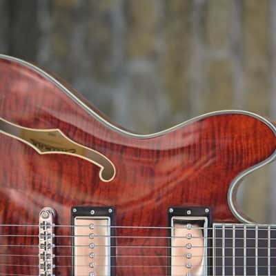 Eastman T486B - Classic image 4