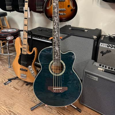 •RARE• Michael Kelly Dragonfly 5-String Acoustic Bass image 2