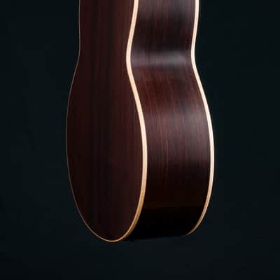 Lowden F-38 ‘Batch 45’ Limited Edition Indian Rosewood and Lutz Spruce NEW image 22