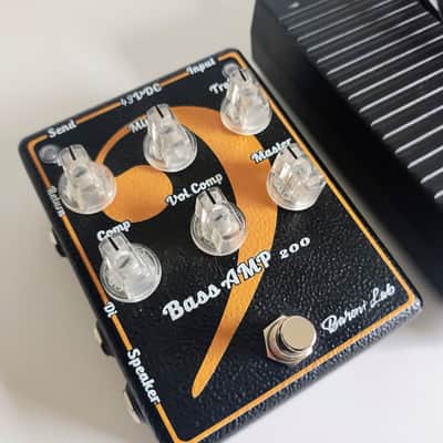 Baroni-Lab Mini Bass Amp 200 W Pedal Amp image 2