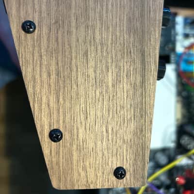 Moog Labyrinth Parallel Generative Synthesizer 2024 - Present - Black with Wood Sides image 3