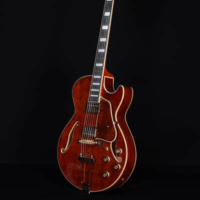 Ibanez AG95MGDA, AG Expressionist, Mango top/back/sides, Gold Hardware image 6