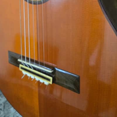 Yamaha GC-30A 1980 - Shellac image 6