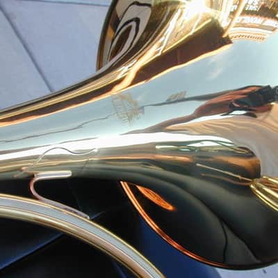 BerkeleyWind Natural horn image 8