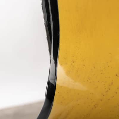Gibson  Les Paul Standard 60s Mahogany Top, TV Yellow | Demo image 11