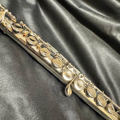 Eastman EFL-210 Flute image 2